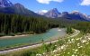 Bow Valley Parkway